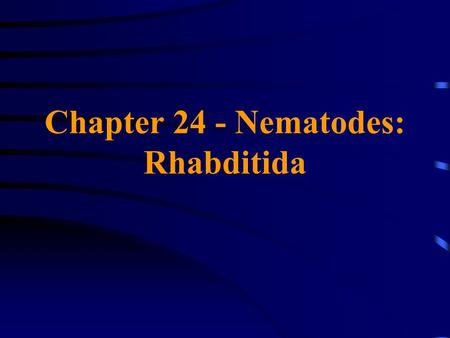 Chapter 24 - Nematodes: Rhabditida. Family Strongyloididae Strongyloides stercoralis May exhibit either a direct (homogonic) exclusively parasitic life.