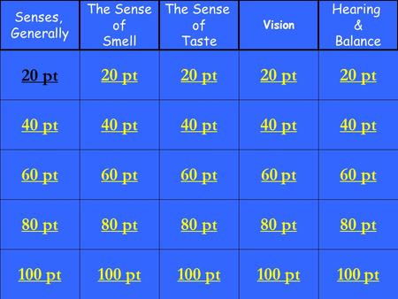 40 pt 60 pt 80 pt 100 pt 20 pt 40 pt 60 pt 80 pt 100 pt 20 pt 40 pt 60 pt 80 pt 100 pt 20 pt 40 pt 60 pt 80 pt 100 pt 20 pt 40 pt 60 pt 80 pt 100 pt 20.