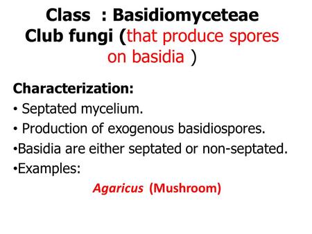 Class : Basidiomyceteae Club fungi (that produce spores on basidia )