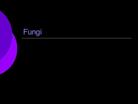 Fungi.  What do mushrooms in your stir- fry, yeast that makes bread rise, the fuzzy stuff on food left too long in the refrigerator, ringworm, and athlete's.