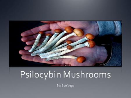 Psilocybin Mushrooms Street names include caps, mushrooms, shrooms, magic mushrooms, mushies, boomers, cubes, psilocybin and psilocin. Chemical Name: