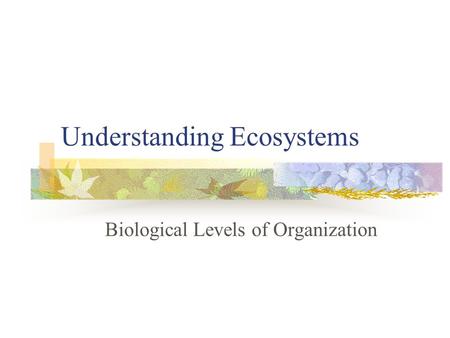 Understanding Ecosystems Biological Levels of Organization.