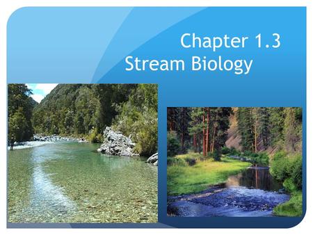 Chapter 1.3 Stream Biology