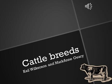 Cattle breeds Kail Wilkerson and MarkAnne Geary Angus cattle Angus is a beef breed. They came from Scotland. Ranchers like them in the snowy places because.