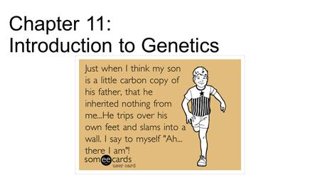 Chapter 11: Introduction to Genetics