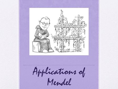 Applications of Mendel. Dominant/Recessive For every gene/characteristic an individual possesses two inherited copies (alleles) One maternal, one paternal.