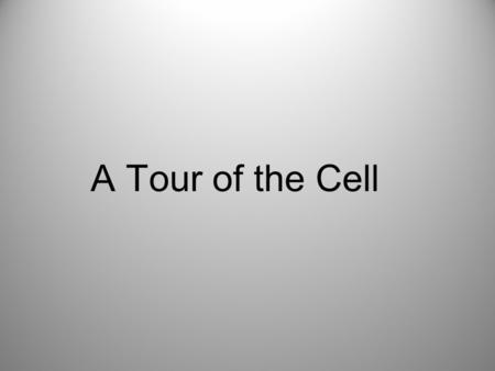 A Tour of the Cell. Eukaryotic cells have internal membranes that compartmentalize their functions Basic features of all cells: plasma membrane, cytosol,