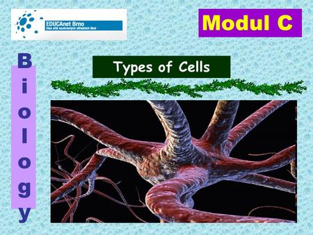 Types of Cells BiologyBiology Modul C.  The Cell(lat. cellula) The structural, functional and biological unit of all organisms. (apart from viruses)organisms.