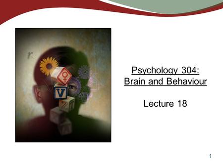 1 Psychology 304: Brain and Behaviour Lecture 18.