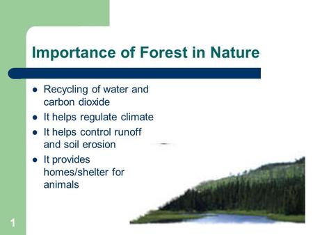 1 Importance of Forest in Nature Recycling of water and carbon dioxide It helps regulate climate It helps control runoff and soil erosion It provides homes/shelter.