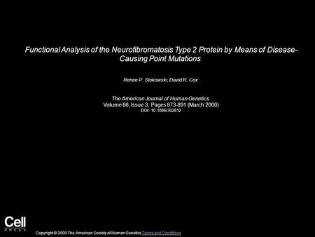 Functional Analysis of the Neurofibromatosis Type 2 Protein by Means of Disease- Causing Point Mutations Renee P. Stokowski, David R. Cox The American.