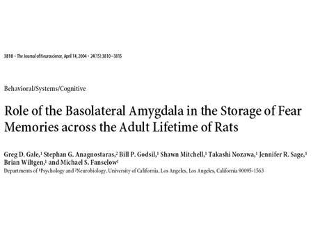 Background Two Views of Amygdala’s Role in Emotional Memory 1. The amygdala has a time-limited involvement in determining the strength of memories formed.