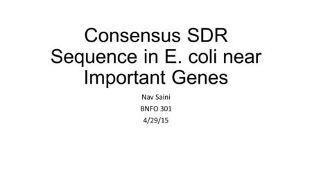 Consensus SDR Sequence in E. coli near Important Genes Nav Saini BNFO 301 4/29/15.