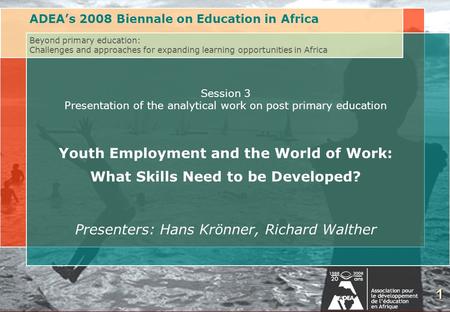 1 Session 3 Presentation of the analytical work on post primary education Youth Employment and the World of Work: What Skills Need to be Developed? Presenters: