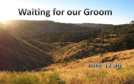 I. The Groom’s Precious Promise I, The King, Am Coming!