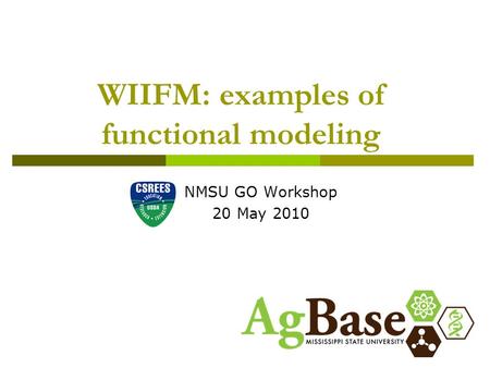 WIIFM: examples of functional modeling NMSU GO Workshop 20 May 2010.