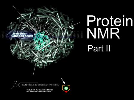 Protein NMR Part II.