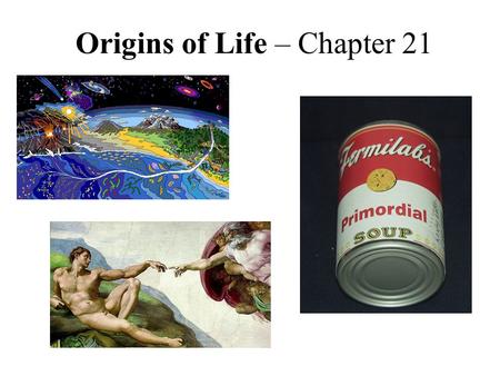 Origins of Life – Chapter 21. “Other” theories –comets may have delivered organic compounds probably will never prove how life began have narrowed down.