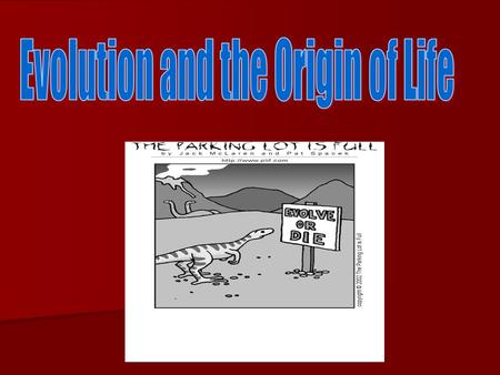 What is the Relationship between behavior and survival? What is the Relationship between behavior and survival? How did this dictate the diversity of.