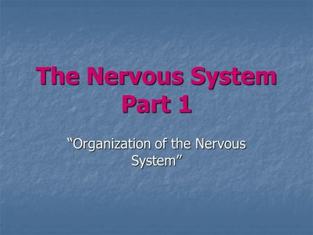 The Nervous System Part 1 “Organization of the Nervous System”