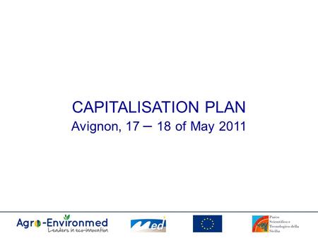 CAPITALISATION PLAN Avignon, 17 – 18 of May 2011.