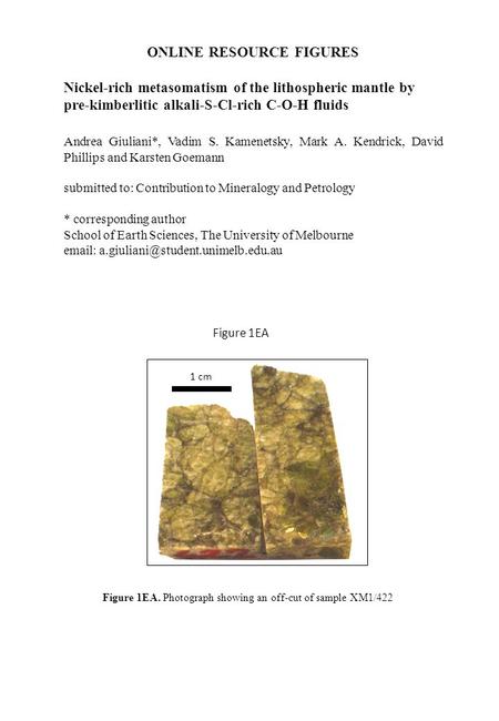 ONLINE RESOURCE FIGURES Nickel-rich metasomatism of the lithospheric mantle by pre-kimberlitic alkali-S-Cl-rich C-O-H fluids Andrea Giuliani*, Vadim S.