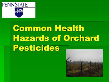 Common Health Hazards of Orchard Pesticides