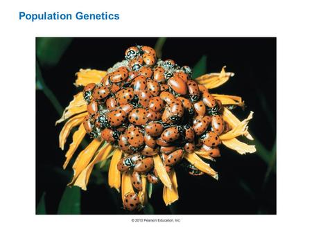 Population Genetics. 1859: Darwin and the birth of modern biology (explaining why living things are as they are) – Heritable Traits and Environment 