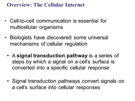 Overview: The Cellular Internet Cell-to-cell communication is essential for multicellular organisms Biologists have discovered some universal mechanisms.