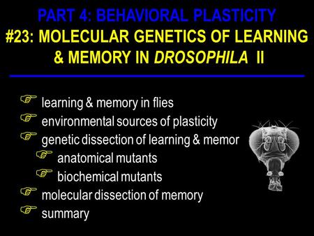 F learning & memory in flies F environmental sources of plasticity F genetic dissection of learning & memory F anatomical mutants F biochemical mutants.