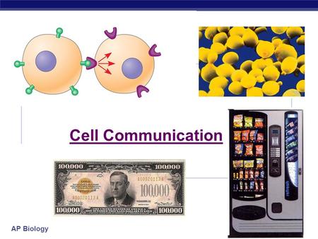 Cell Communication.