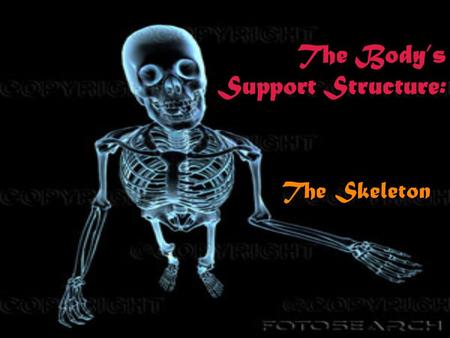 The Body’s Support Structure: The Skeleton Functions of the skeleton: o Provides shape and support o Enables you to move o Protects your internal organs.