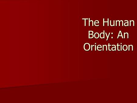 The Human Body: An Orientation. Figure 1.2f Organ System Overview Cardiovascular Cardiovascular –Transports materials in body via blood pumped by heart.