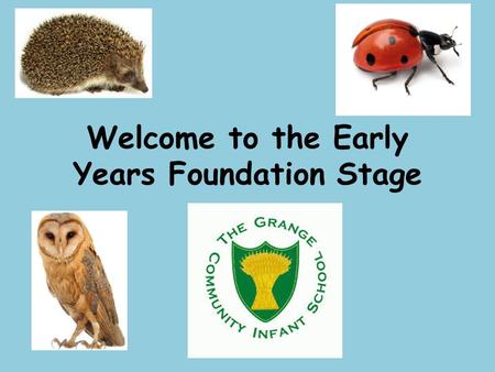 Welcome to the Early Years Foundation Stage. Our Team Hedgehog LadybirdOwl Miss Sharp Miss MillerMiss Parish Mrs Van Den Brul Mrs Peverall Mrs Hill Mrs.