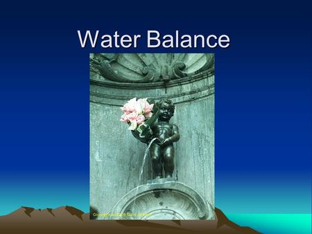 Water Balance. More water in means more urine out. Our body’s water balance is regulated by our nervous system and our endrocrine system.