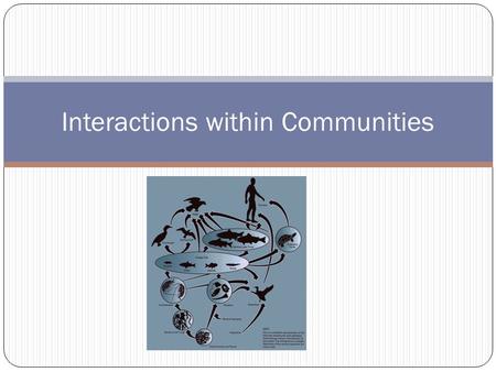 Interactions within Communities. Populations of different species interact in a community Some organisms rely on other organisms within the community.