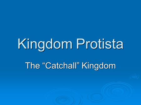 Kingdom Protista The “Catchall” Kingdom. Three Divisions  Animal-like- Protozoans  Plant-like- Algae  Fungus-Like- slime molds.