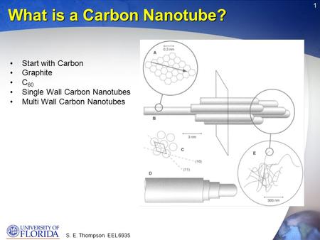 S. E. Thompson EEL 6935 1 What is a Carbon Nanotube? Start with Carbon Graphite C 60 Single Wall Carbon Nanotubes Multi Wall Carbon Nanotubes.