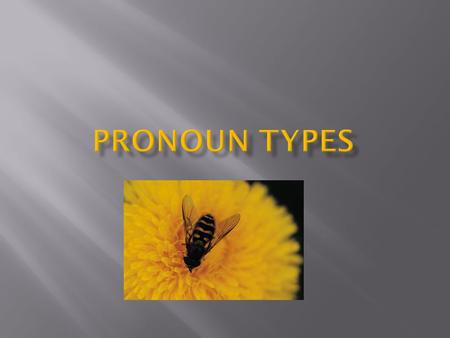  Slide 3: Pronoun Purpose  Slide 4: Personal & Possessive  Slide 5: Indefinite & Relative  Slide 6: Demonstrative & Interrogative  Slide 7: Reflexive.