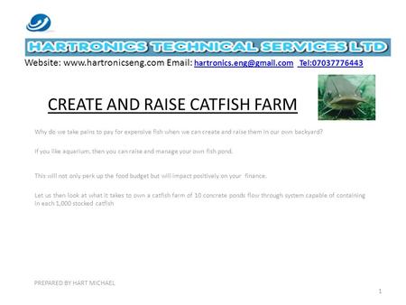 CREATE AND RAISE CATFISH FARM Why do we take pains to pay for expensive fish when we can create and raise them in our own backyard? If you like aquarium,