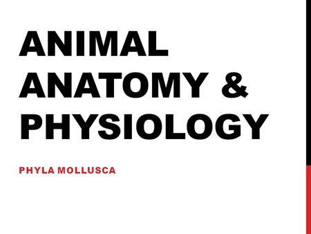 Animal Anatomy & Physiology