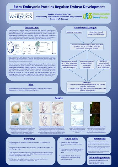 F Objectives: Define where MLP1 gene is expressed and if MLP1 peptides are mobile? Assess if MLP1 regulates PIN1 localization and in turn embryo development?