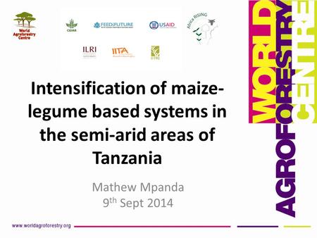 Intensification of maize- legume based systems in the semi-arid areas of Tanzania Mathew Mpanda 9 th Sept 2014.