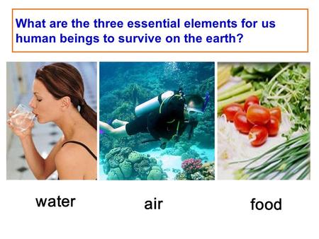 What are the three essential elements for us human beings to survive on the earth? water air food.