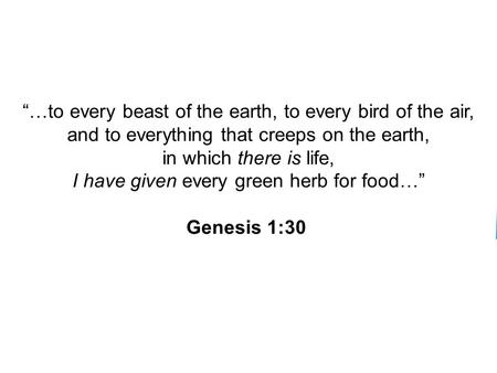 Slide 1 of 20 Copyright Pearson Prentice Hall “…to every beast of the earth, to every bird of the air, and to everything that creeps on the earth, in which.