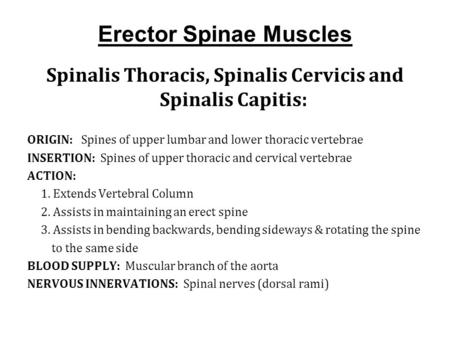 Erector Spinae Muscles Spinalis Thoracis, Spinalis Cervicis and Spinalis Capitis: ORIGIN: Spines of upper lumbar and lower thoracic vertebrae INSERTION: