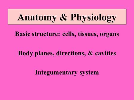 Anatomy & Physiology Basic structure: cells, tissues, organs Body planes, directions, & cavities Integumentary system.