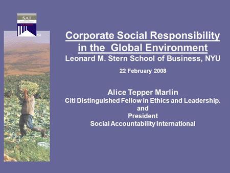 Corporate Social Responsibility in the Global Environment Leonard M. Stern School of Business, NYU 22 February 2008 Alice Tepper Marlin Citi Distinguished.