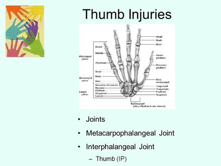 Thumb Injuries Joints Metacarpophalangeal Joint Interphalangeal Joint