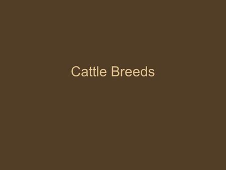 Cattle Breeds. Angus Origin: Scotland Markings: Black Horns/Polled: Polled Use: Beef Most Registered Breed High Carcass Quality.